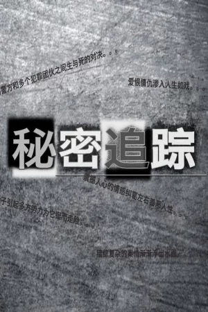 Theo Dấu Bí Mật