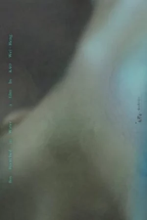 Đêm hè ẩm ướt