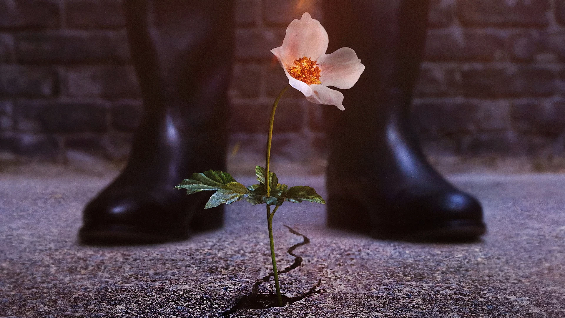 Thế Giới Của Phát Xít (Phần 2)