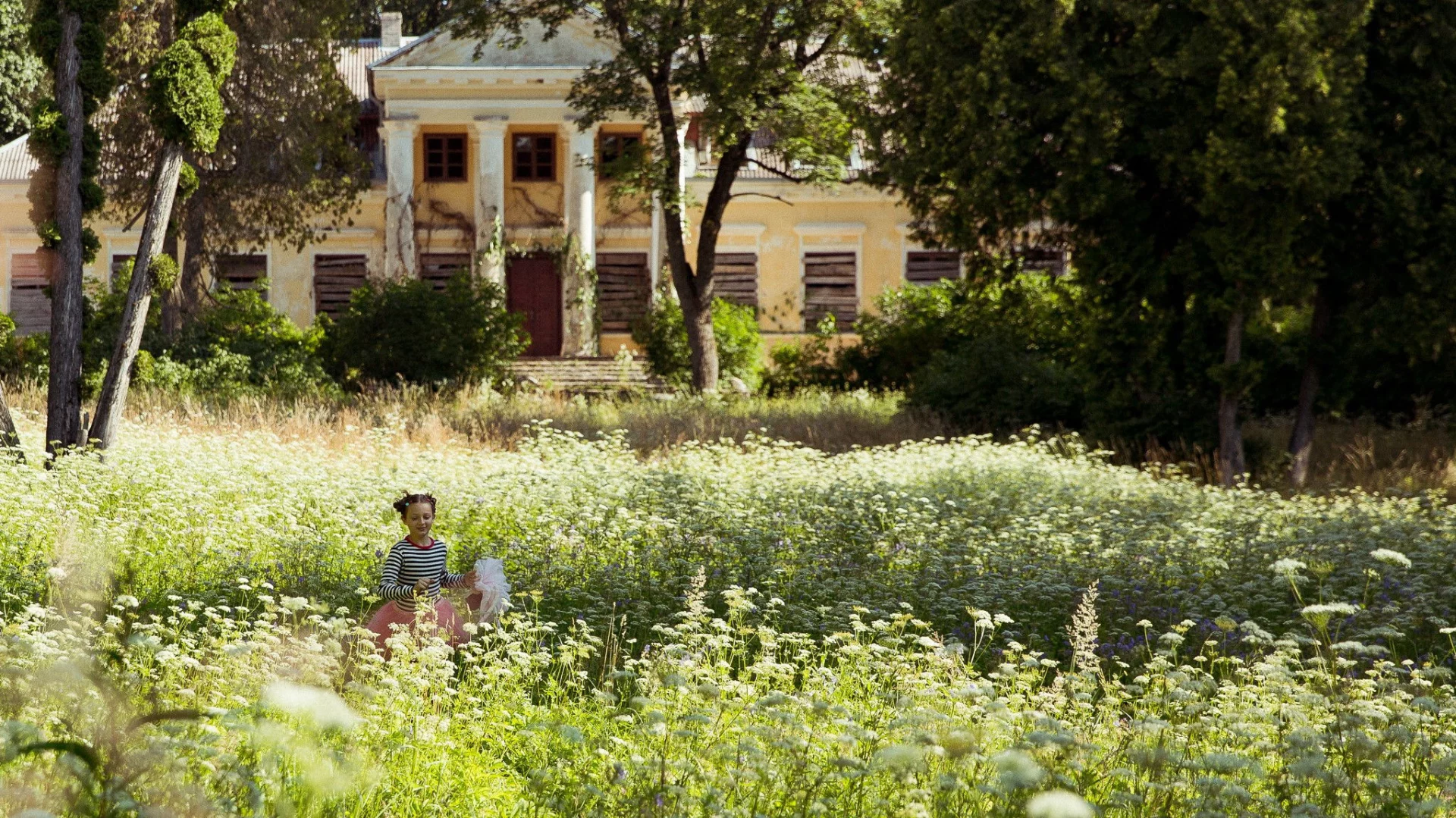 Trái Tim Bươm Bướm